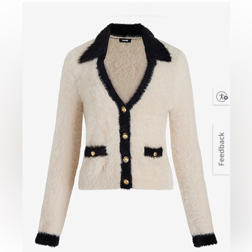 Express Cream and Black V-Neck Sweater